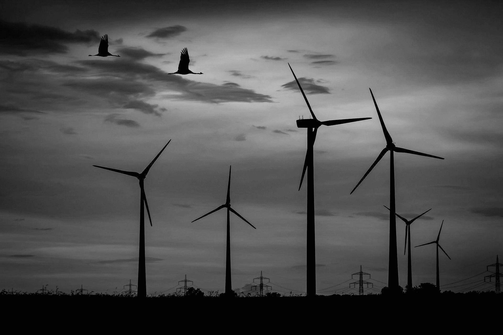 energia wiatraki