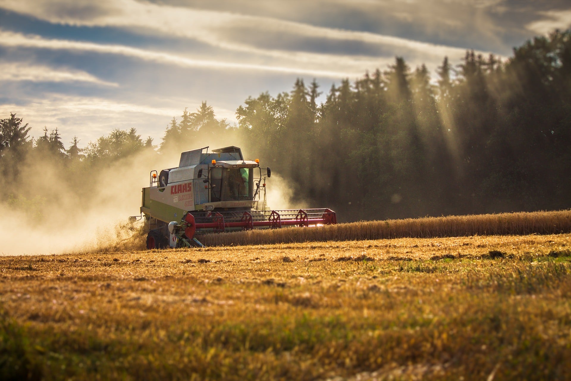 Pressemitteilungen 26 Agriculture in Poland - Statistical Data and Production Indicators